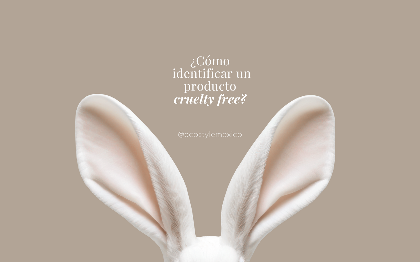 Identifica un producto cruelty free con estos consejos