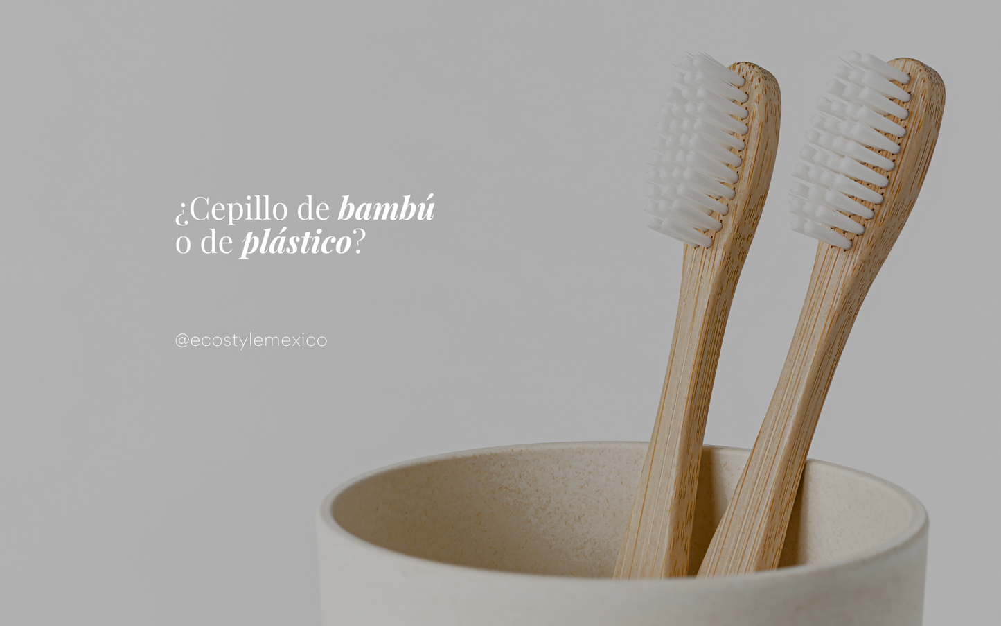 Cepillo de bambú vs cepillo de plástico. Conoce porque elejimos el de bambú para un mayor cuidado tuyo y del planeta.