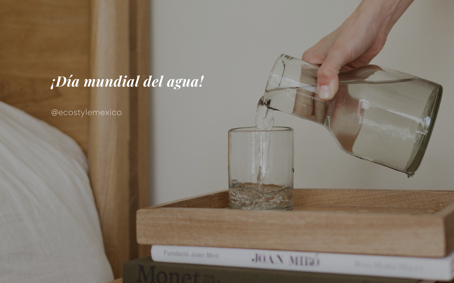 Día mundial del agua