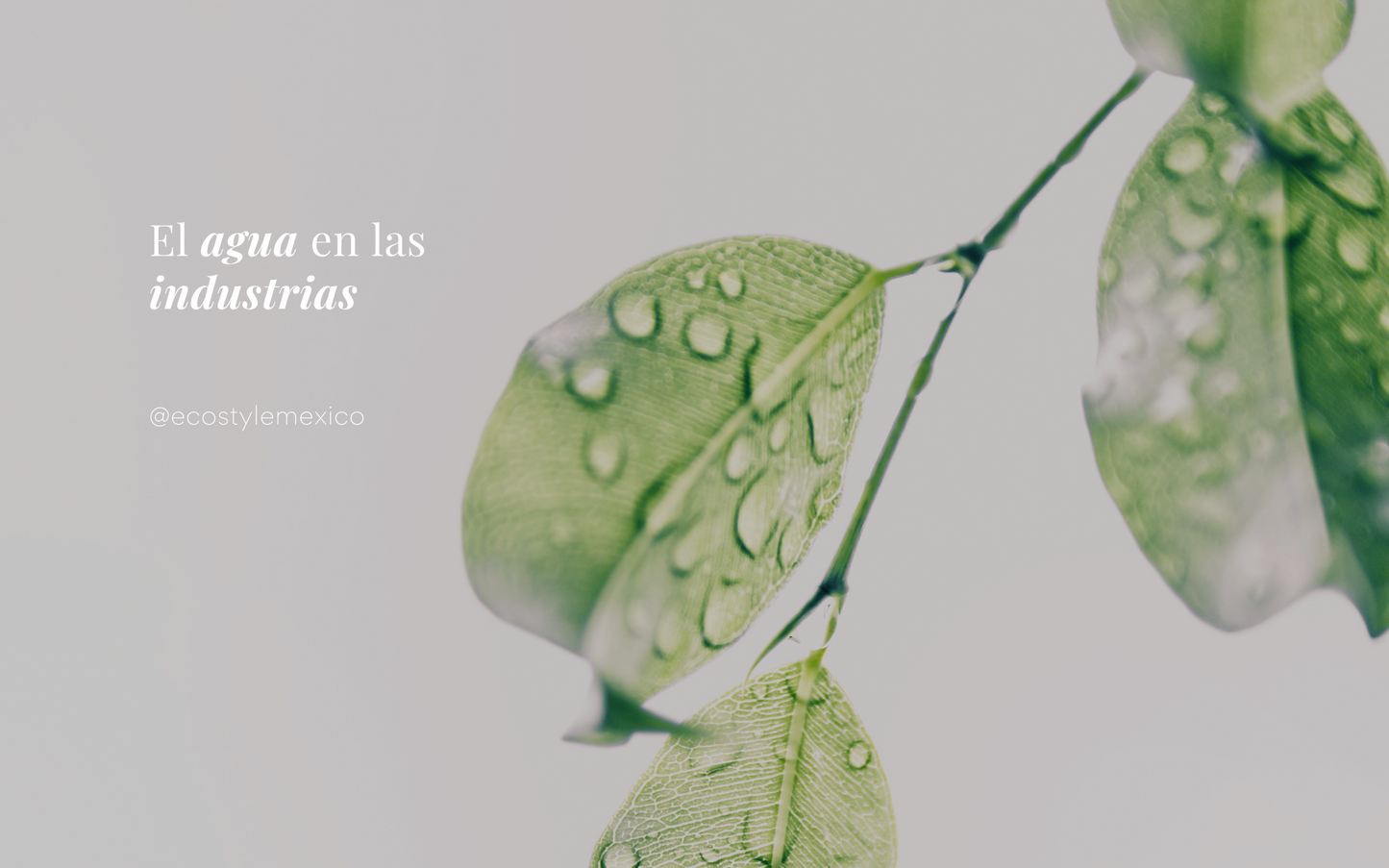 La contaminación del agua en las industrias