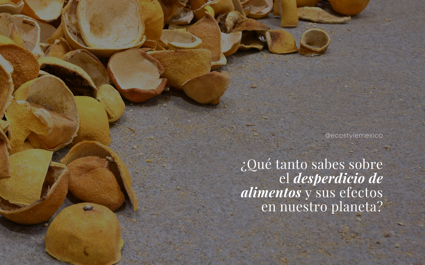 El desperdicio de comida genera contaminación acá te enseñamos