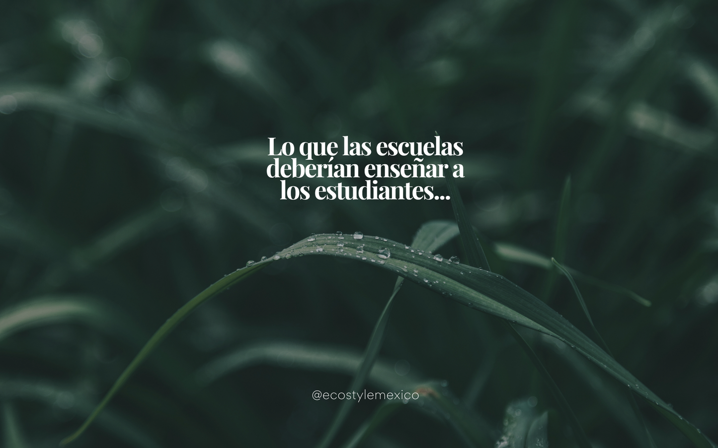 Lo que las escuelas deberían enseñar a los estudiantes