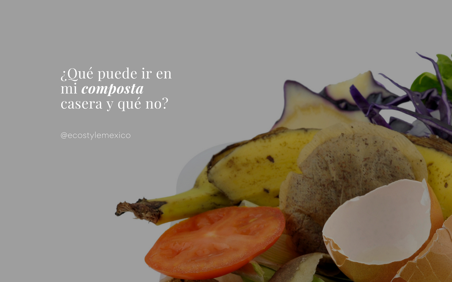 ¿qué puede ir en mi composta casera? Te enseñamos a hacer tu composta en casa.