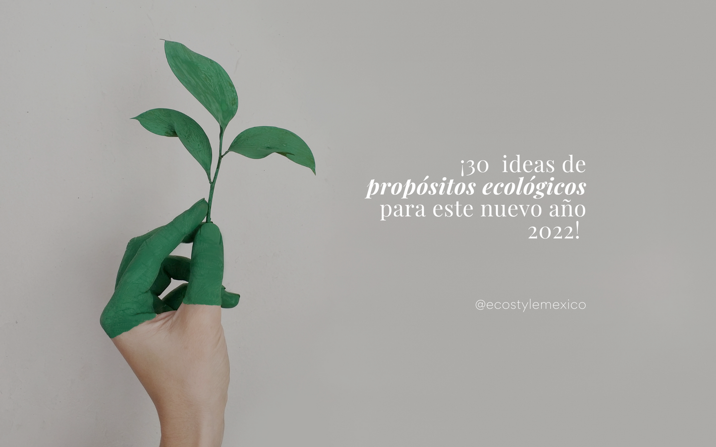 ¿Todavía no sabes cuál es tu propósito eco 2022?