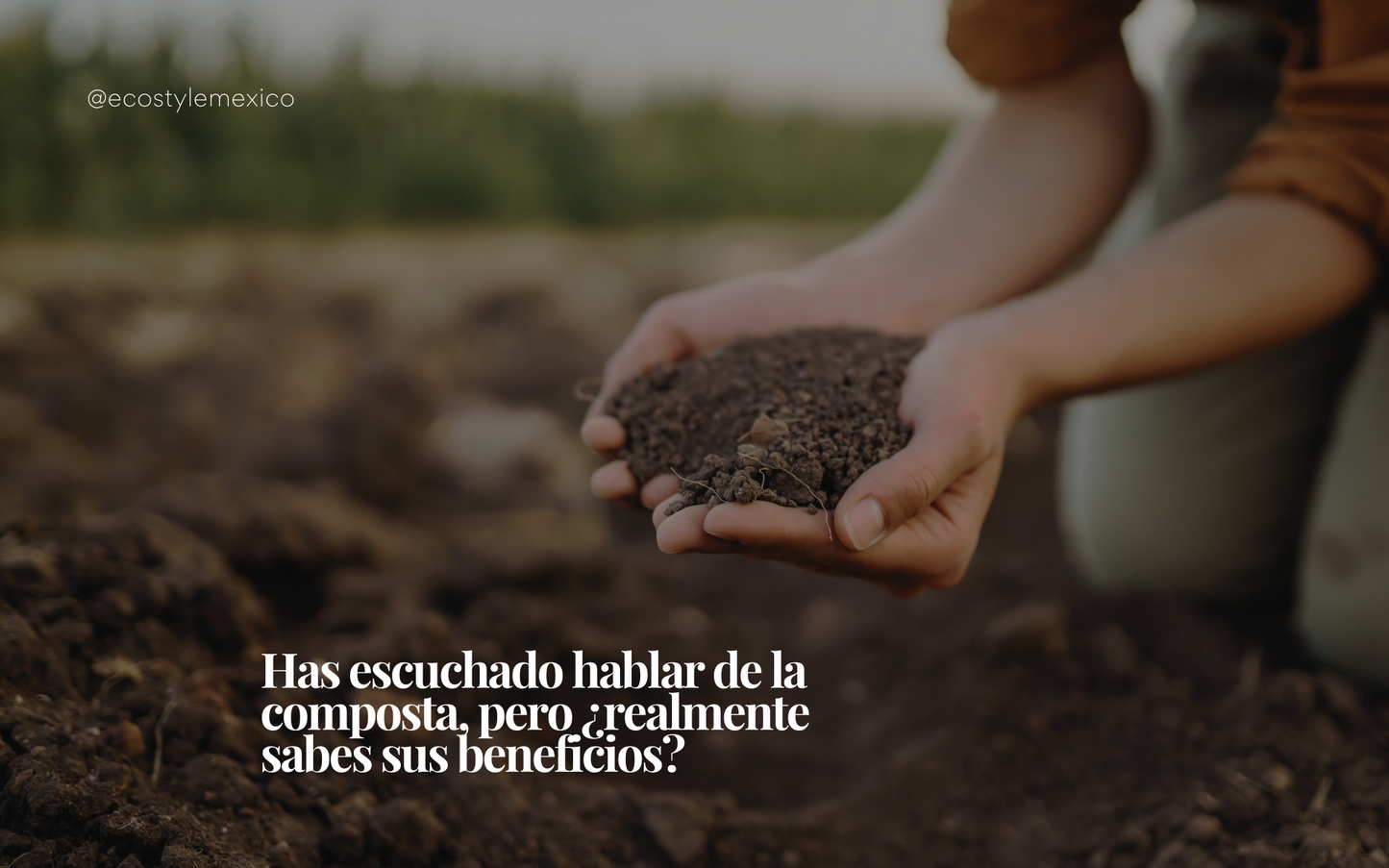 Has escuchado hablar de la composta, pero ¿realmente sabes sus beneficios?