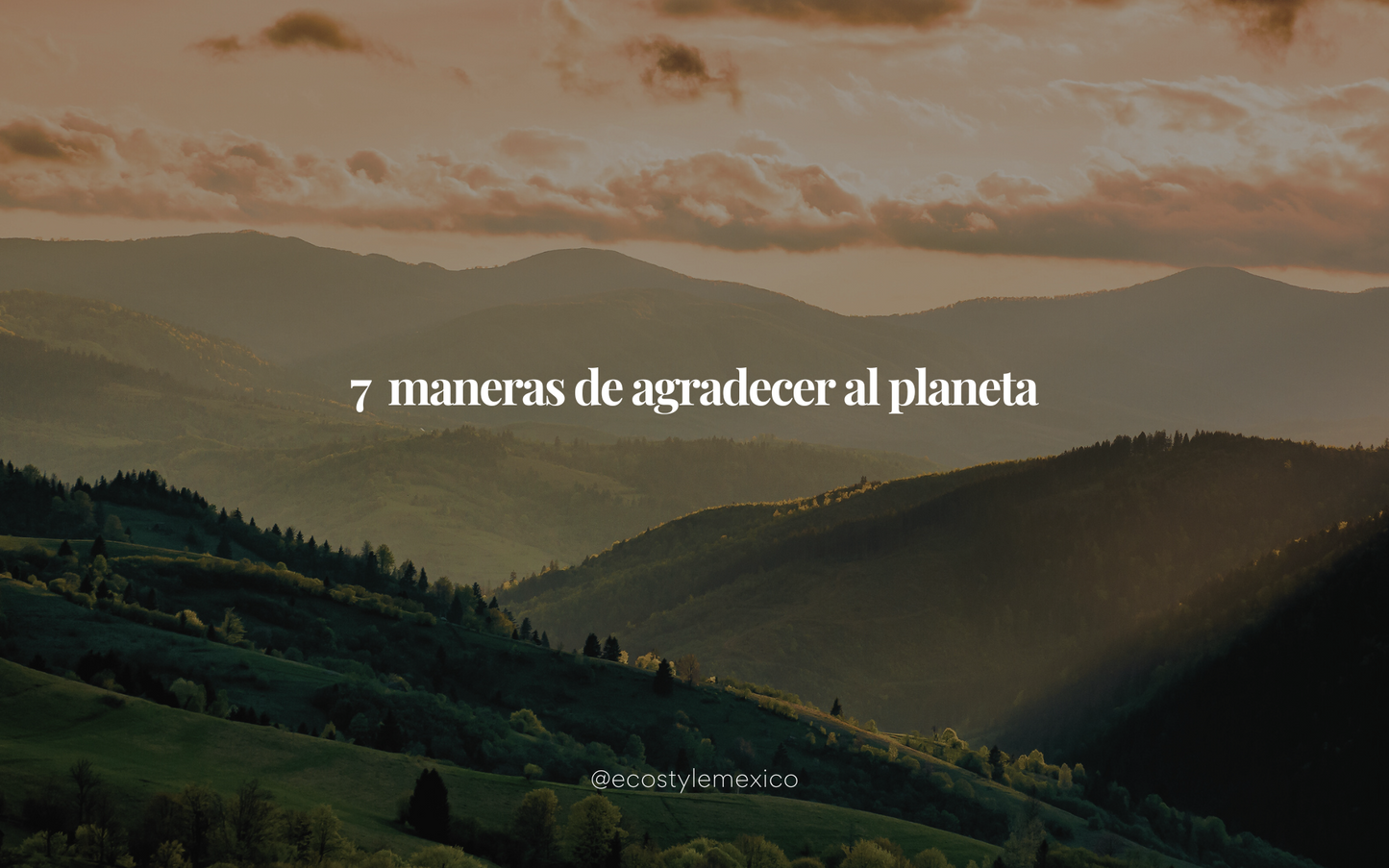 7 maneras de agradecer al planeta
