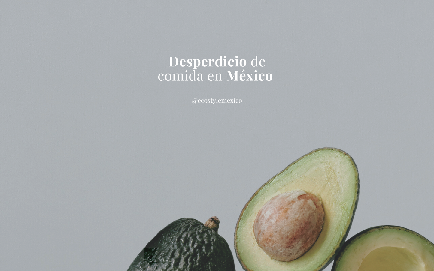 Desperdicio de comida en México