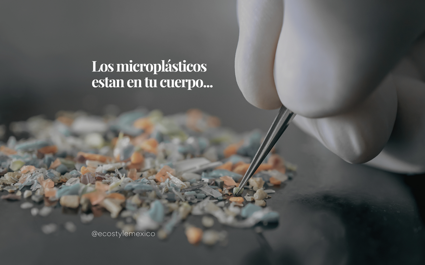 ¡Los microplásticos están en tu cuerpo!