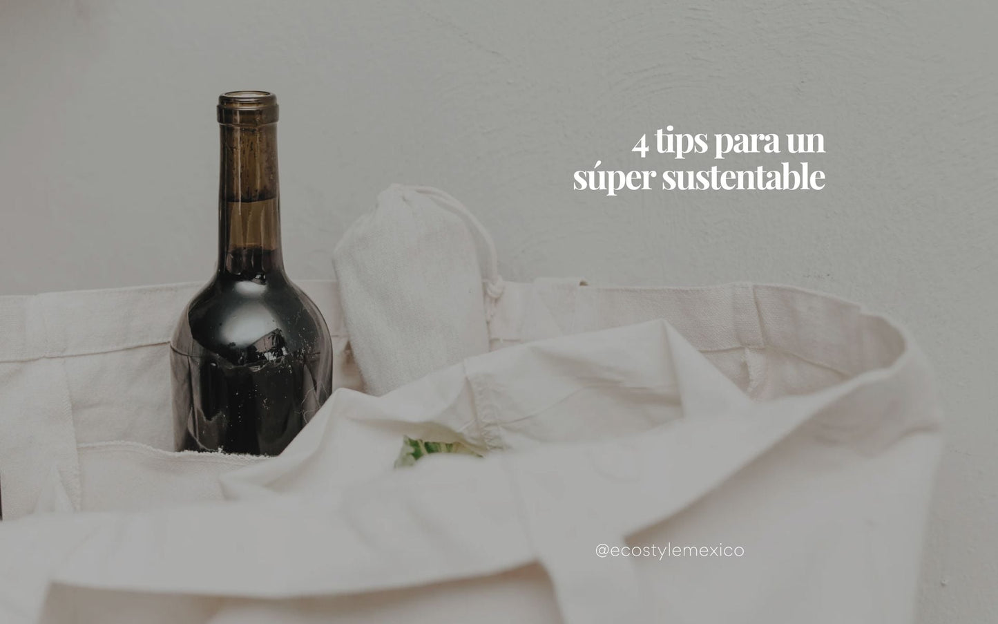 4 tips para un súper sustentable