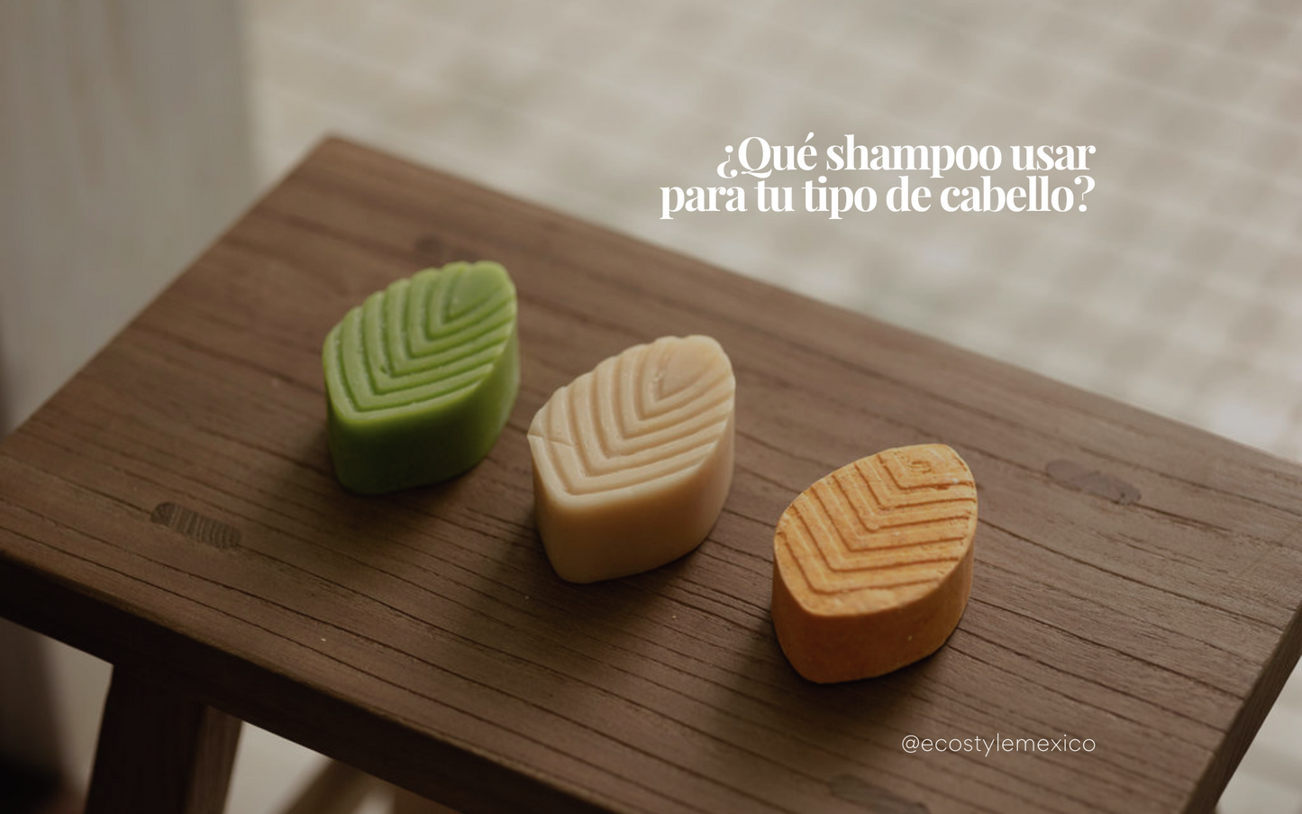 ¿Qué shampoo usar para tu tipo de cabello?