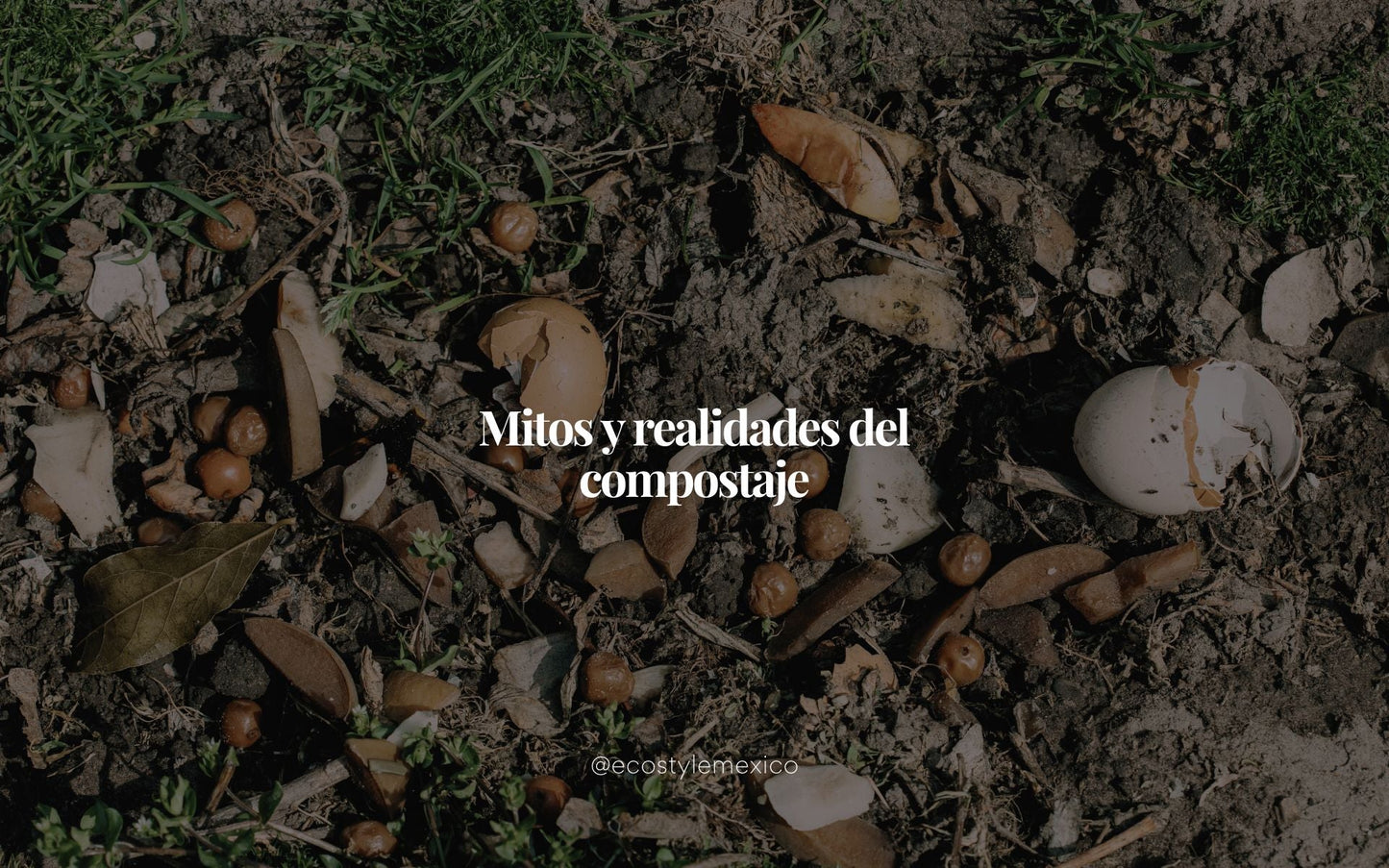Mitos y realidades del compostaje: todo lo que debes saber para empezar hoy