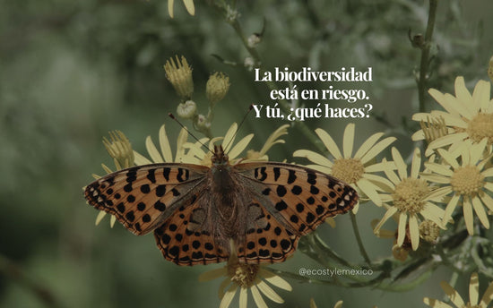 Semana de la Biodiversidad 2025: Por qué importa y cómo puedes ayudar