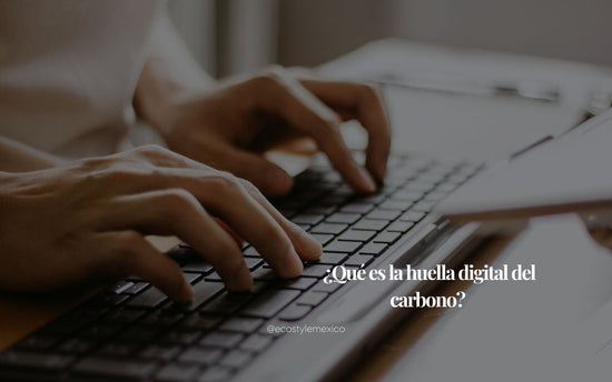 ¿Qué es la huella digital del carbono?