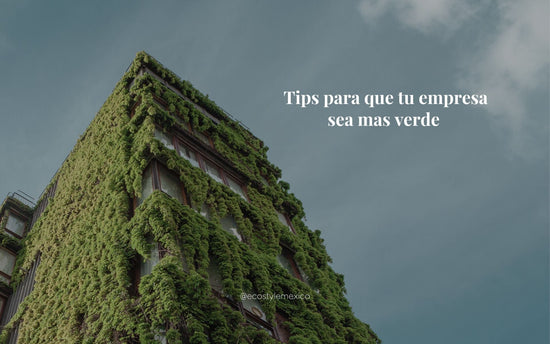 Tips para que tu empresa sea mas verde