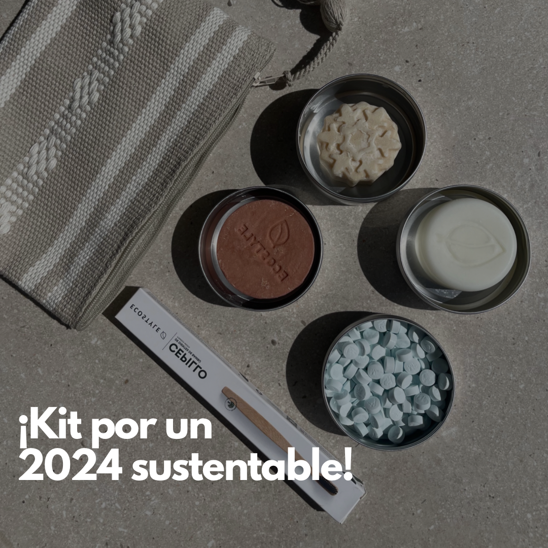 Kit Año Nuevo Sustentable