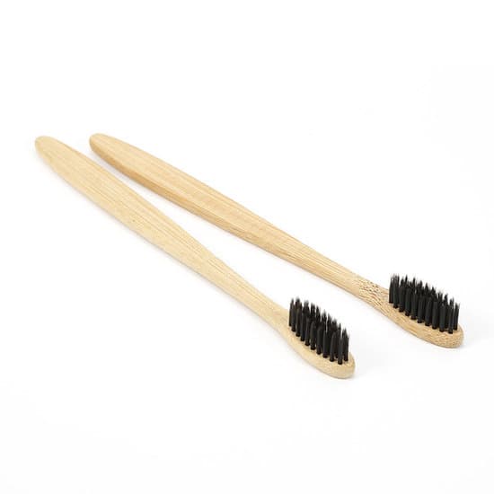 Cepillo de Dientes de Bambú (Set de 2)